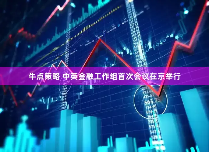 牛点策略 中英金融工作组首次会议在京举行